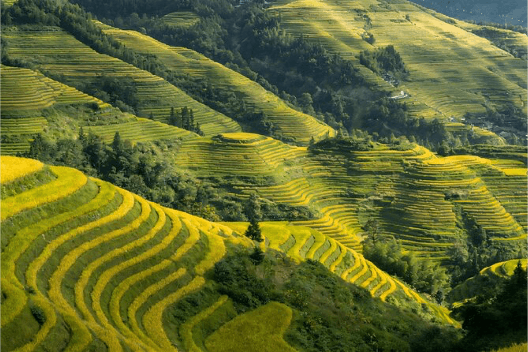 China Photography Tours 2026: Complete Guide for Capturing Stunning Images
