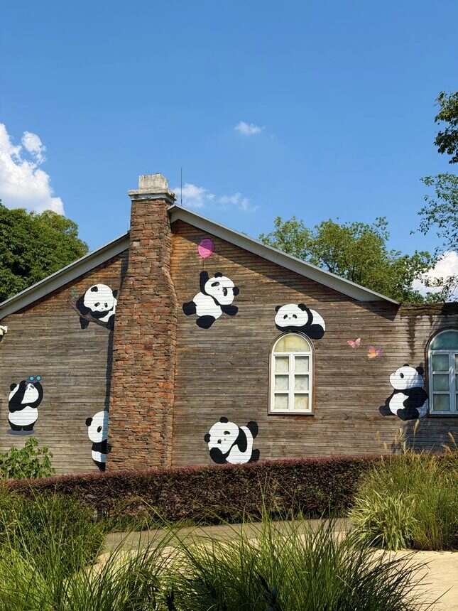 成都｜来熊猫基地的几个出片打卡机位🐼