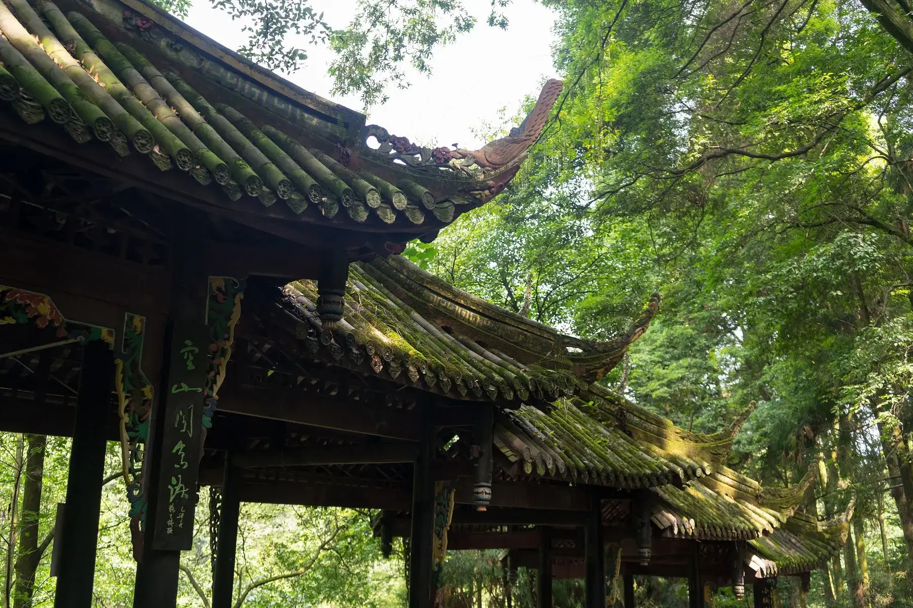 Temple eaves under the green canopy of Mount Qingcheng
