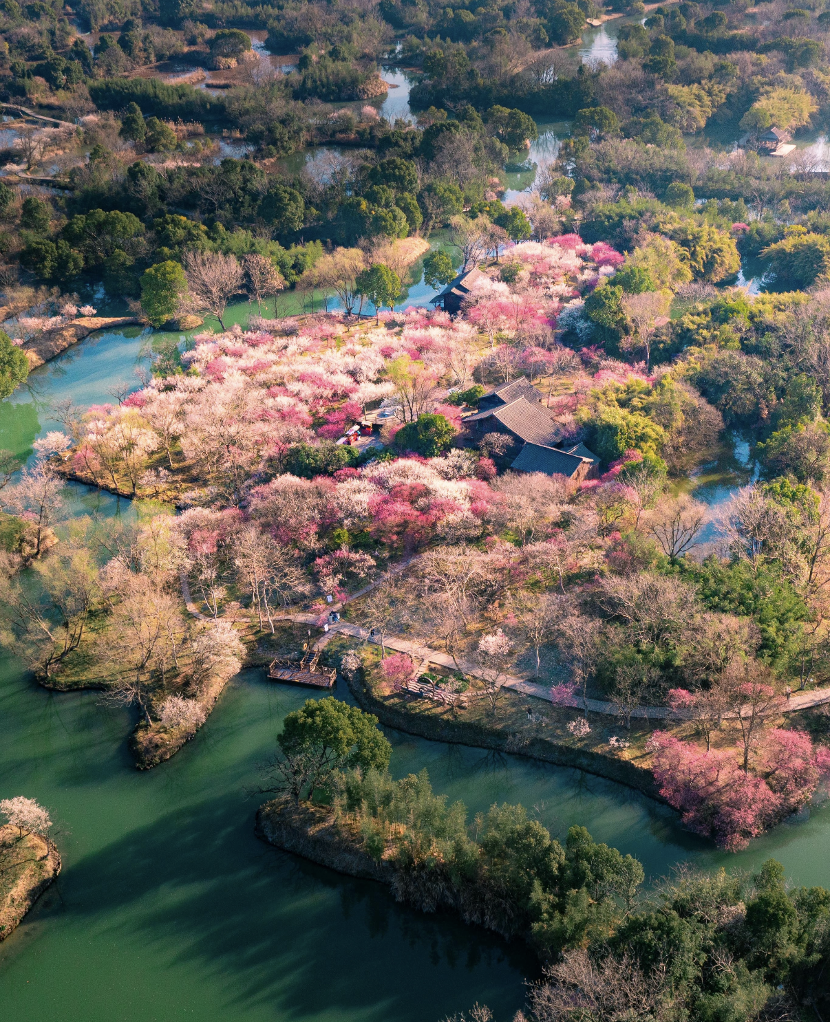 Jiangnan in Five Days: An Introduction