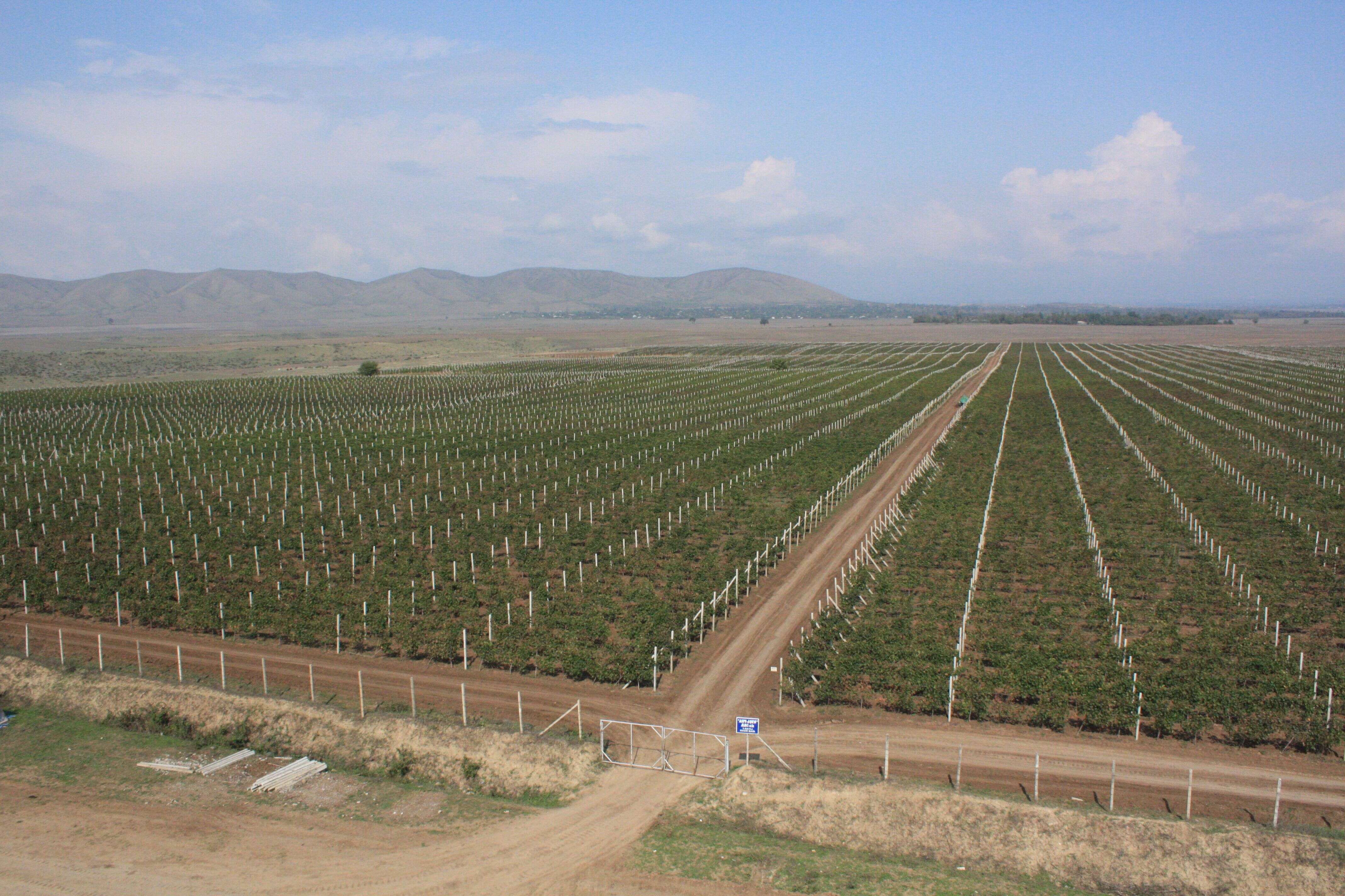 Karez Irrigation System, Turpan