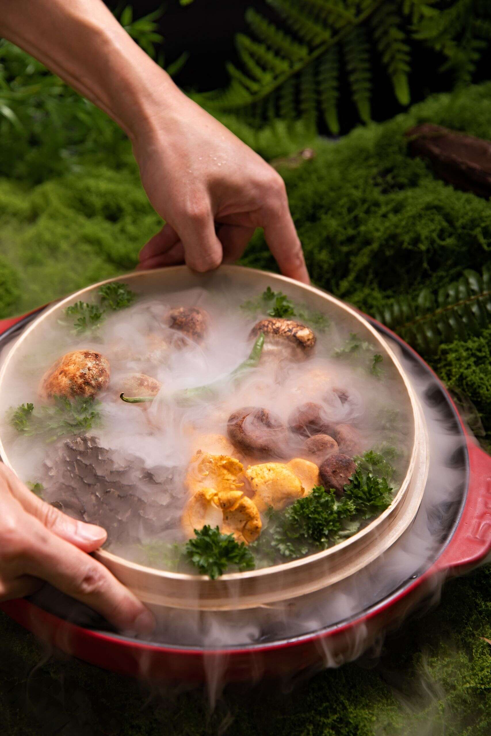 Pilz-Hotpot, Lijiang