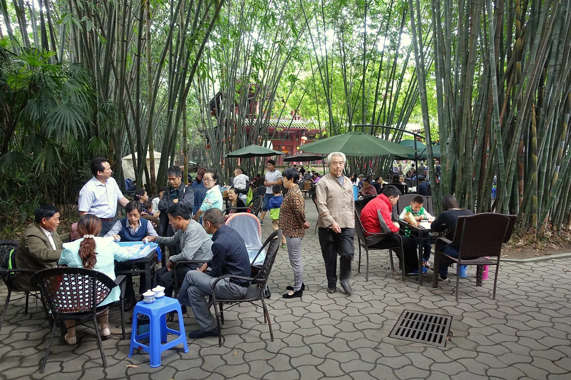 A Chengdu park teahouse under bamboo, chairs still out