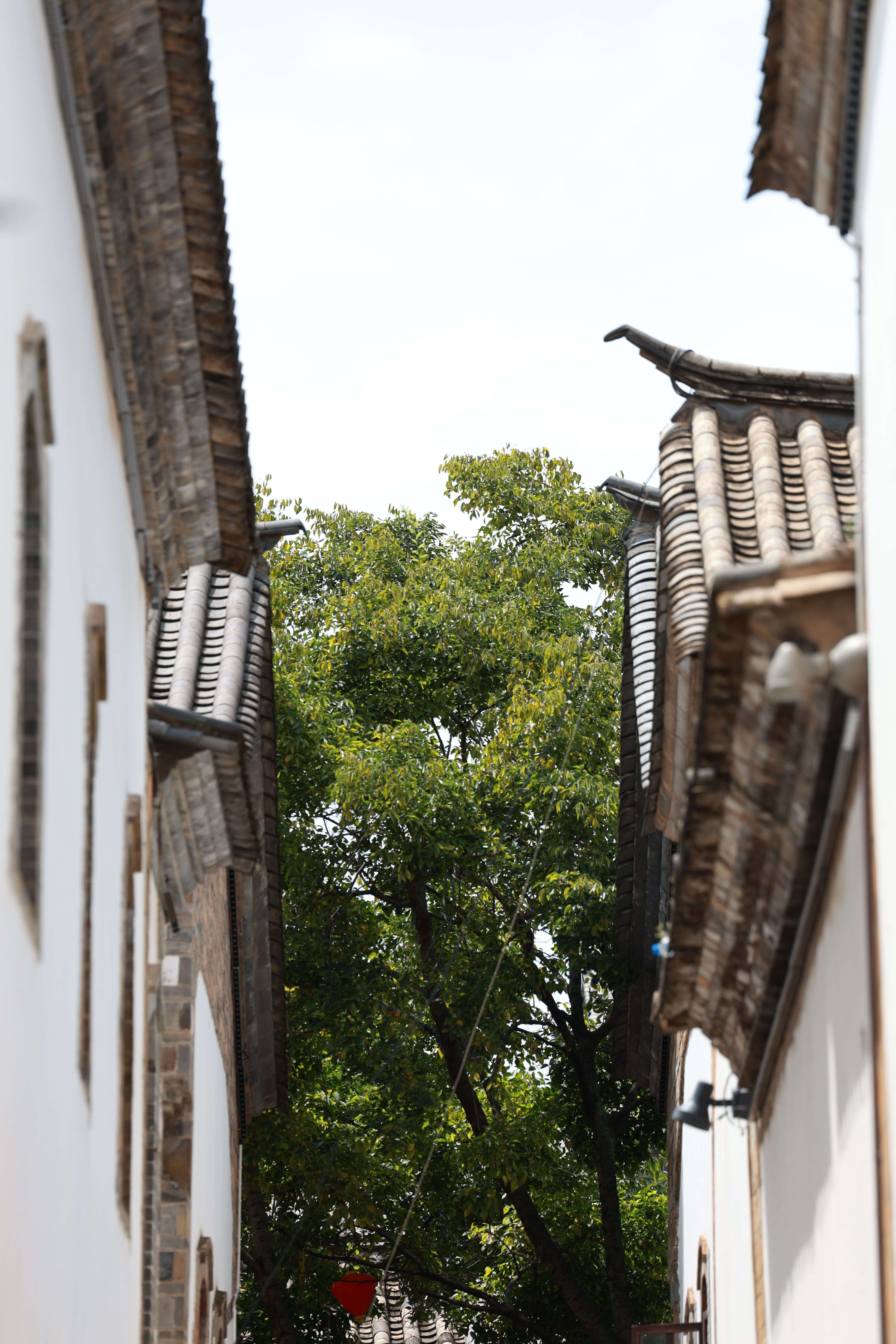 Kuanzhai Alley y Taikoo Li, Chengdu