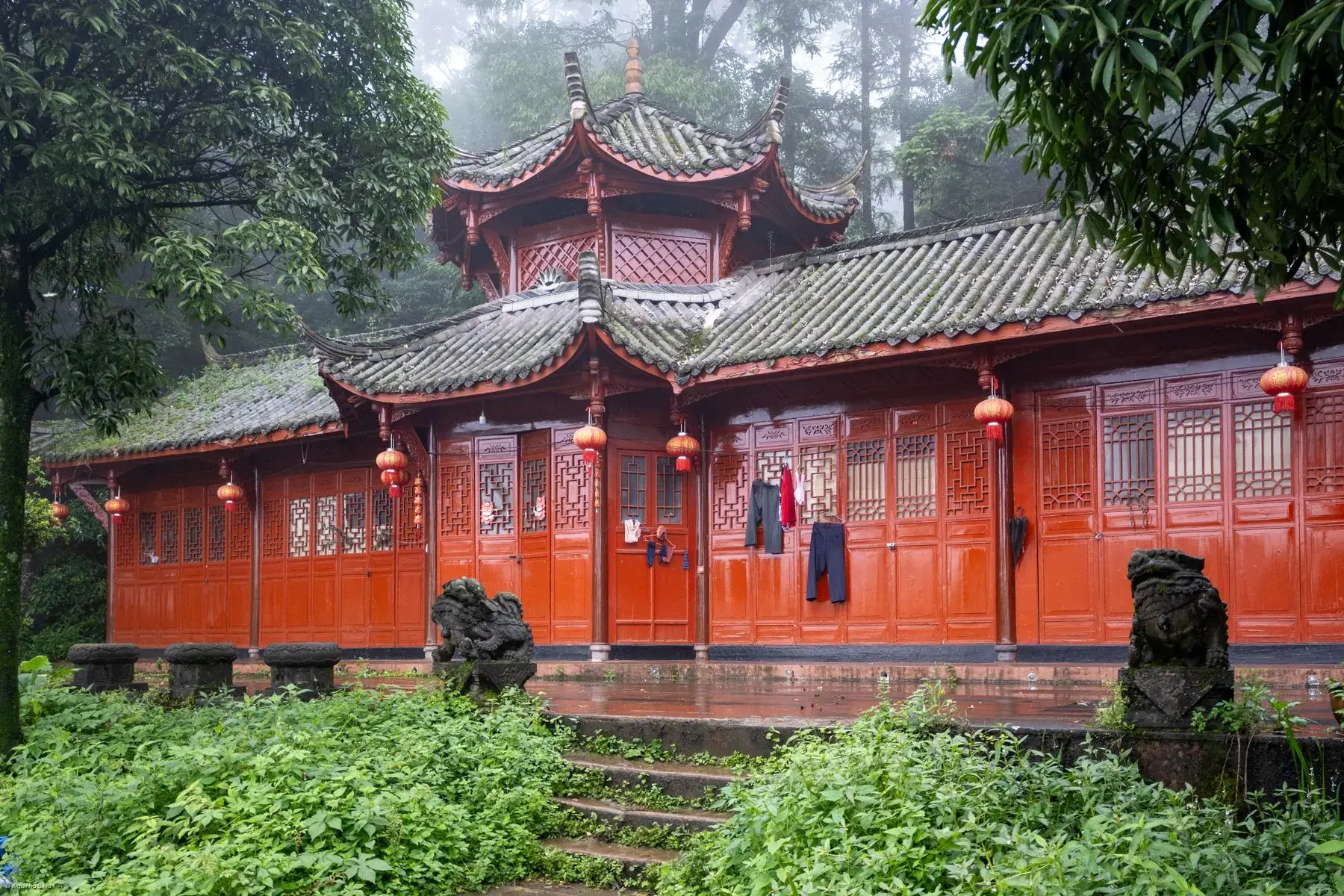 Qingcheng · Taoist Temple Morning