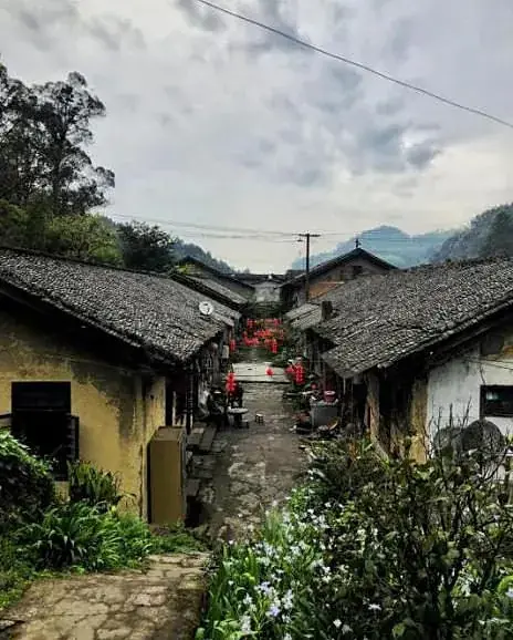 Tiled roofs of the old town