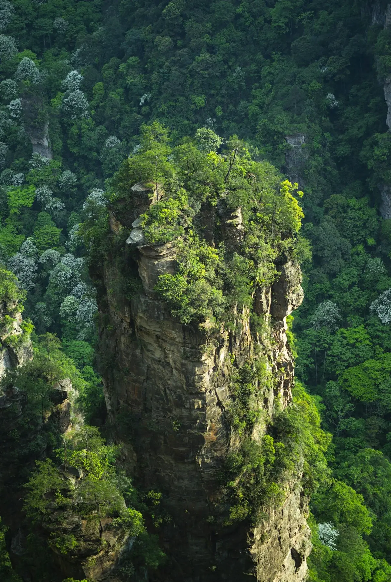 Zhangjiajie