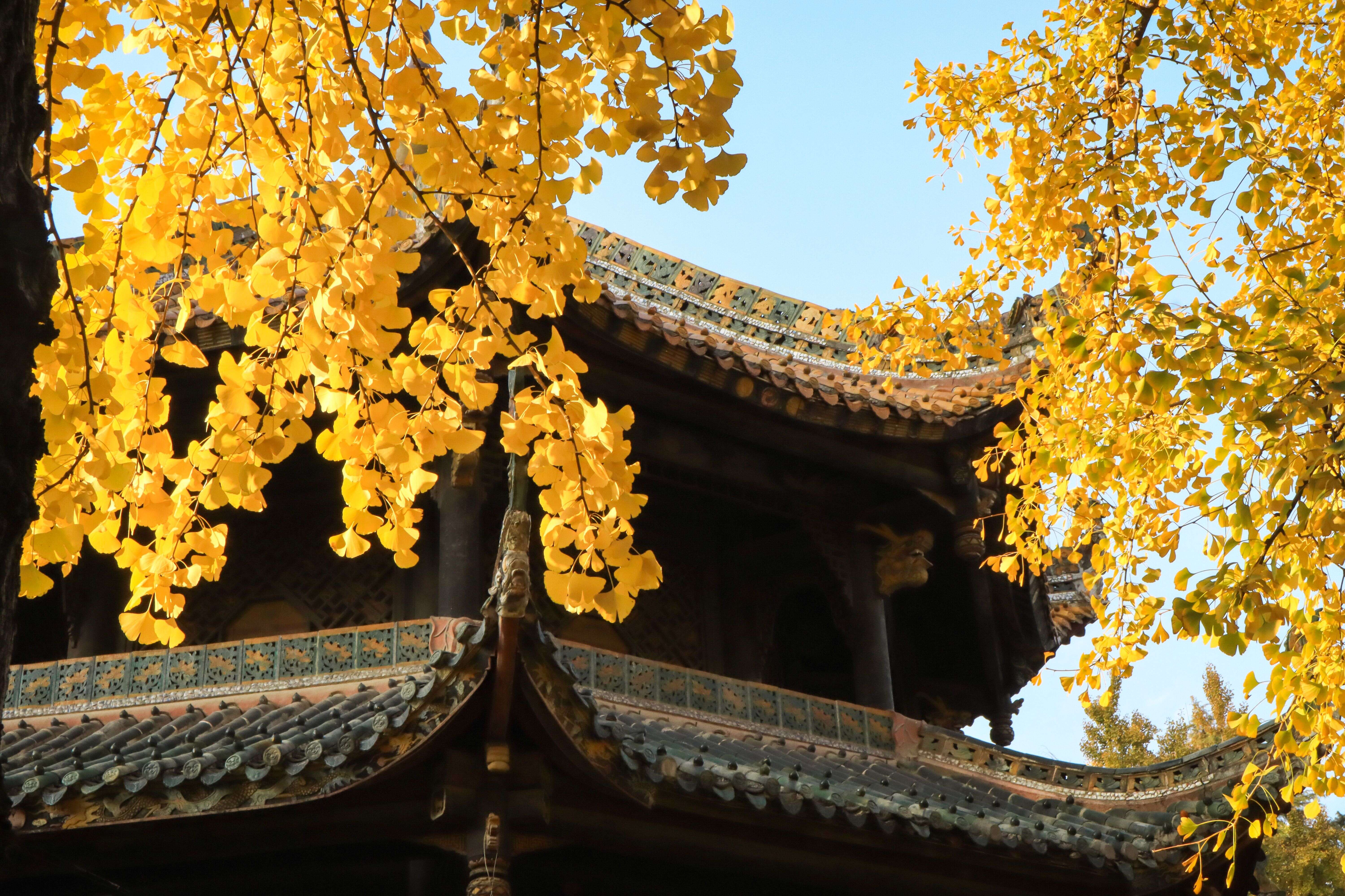 Monasterio de Wenshu, Chengdu