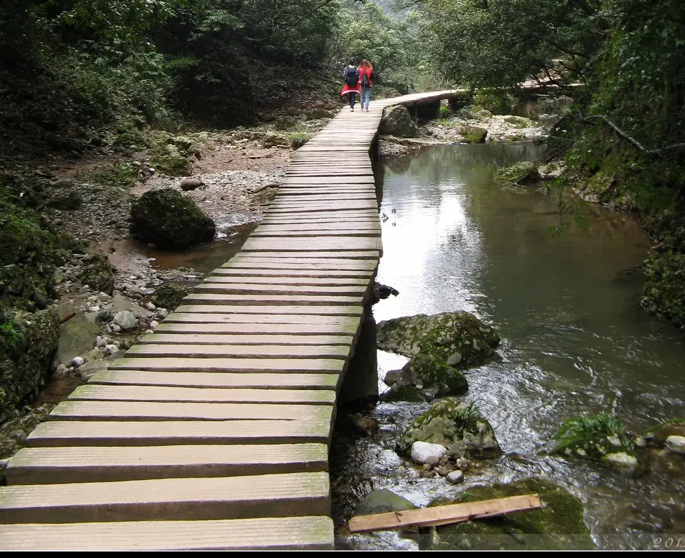 The plank path along the stream, at the end of the afternoon