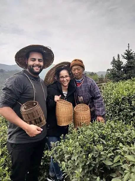 Guests with tea baskets in the field