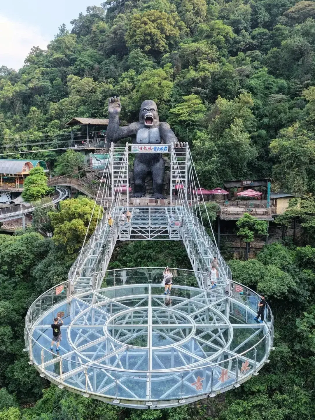 Qingyuan