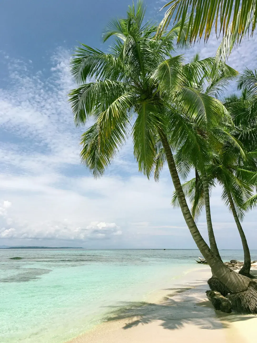 A tropical beach with palm trees in Sanya, Hainan
