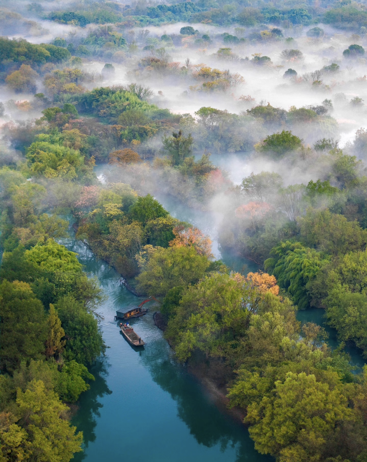 Boat Trip Through West Xixi Wetland, Hangzhou