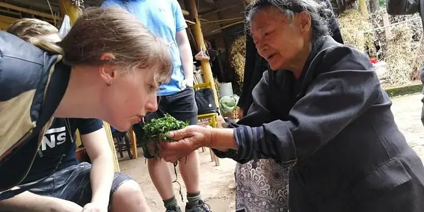 An elderly local showing a guest how to judge tea