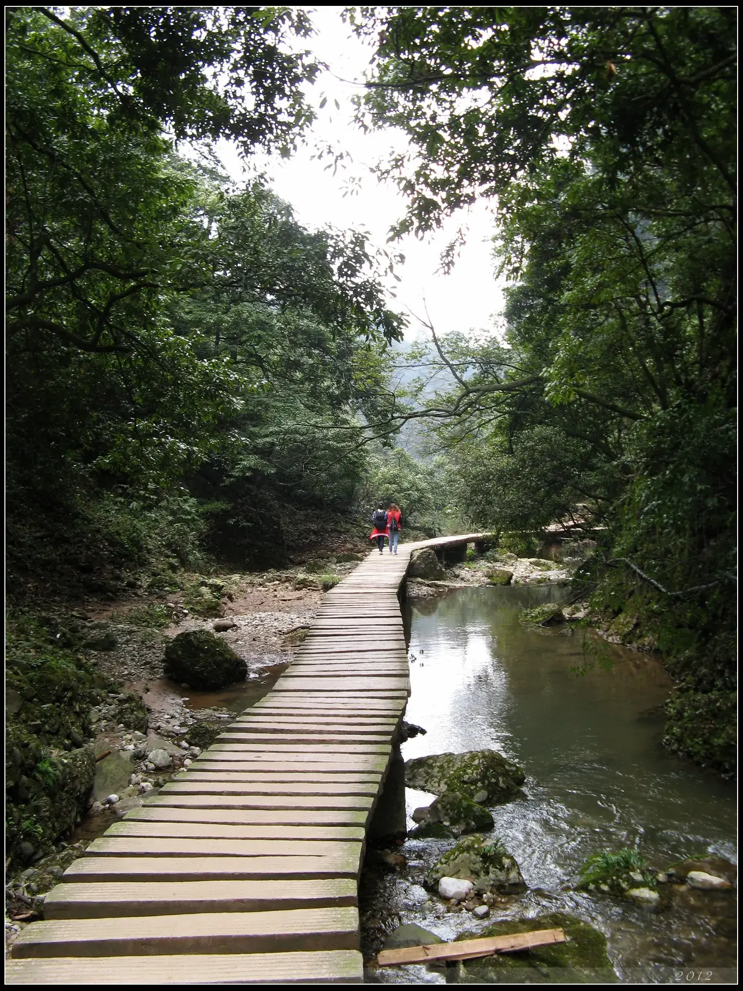 A plank walkway following a stream up a green ravine on Qingcheng's outer mountain