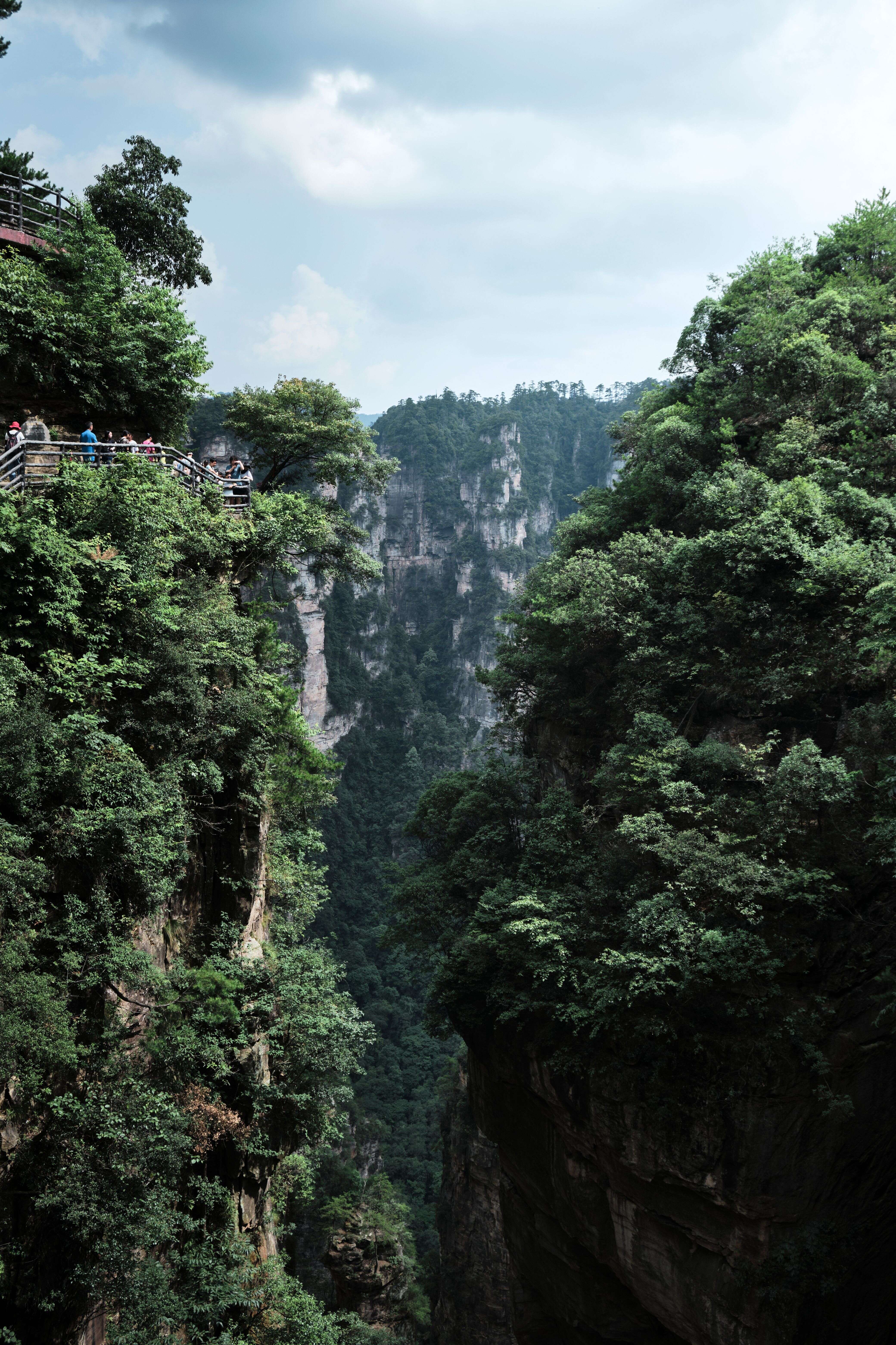 Arroyo del Látigo Dorado, Zhangjiajie
