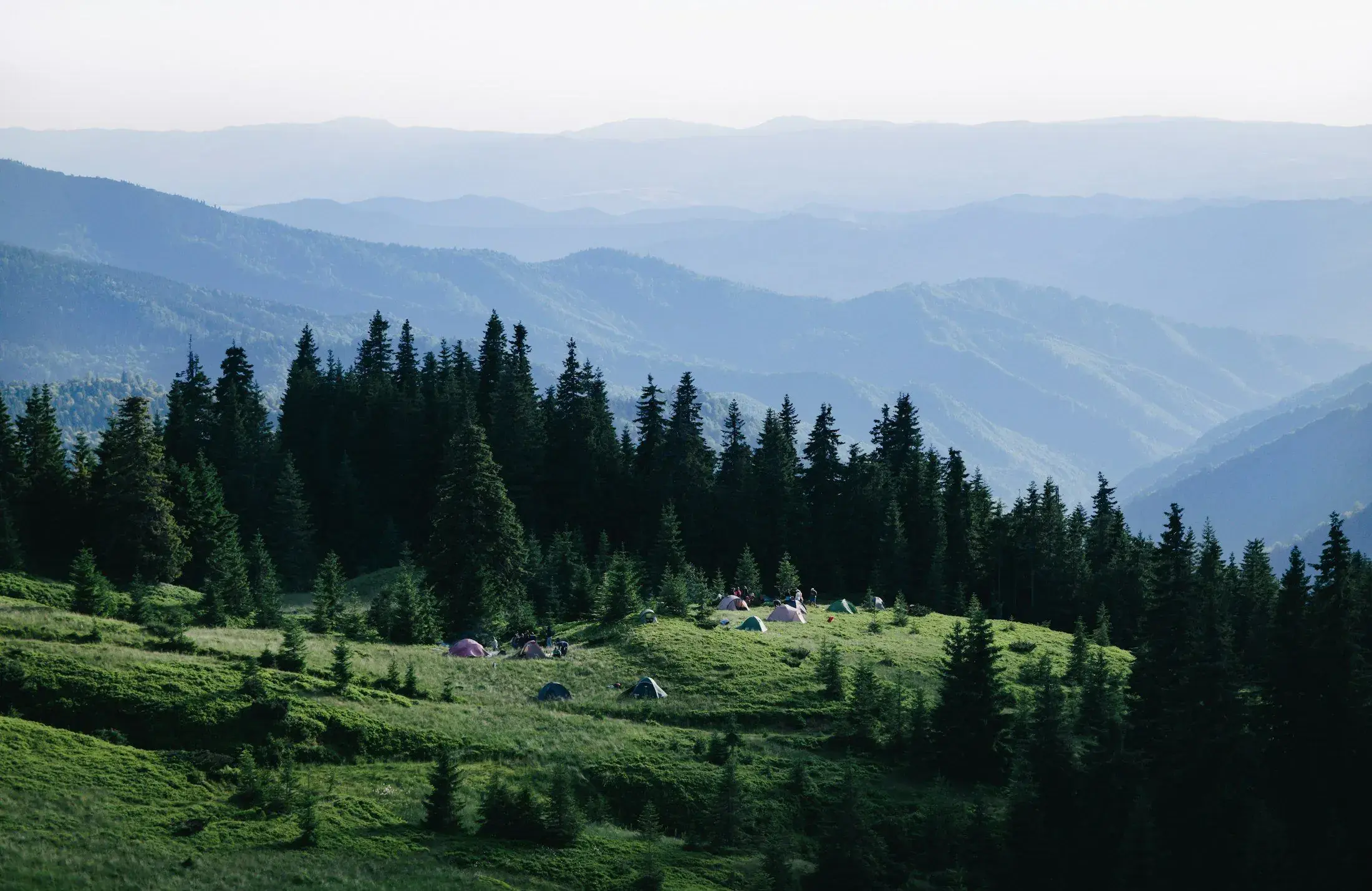 Misty green ridges behind the tea country