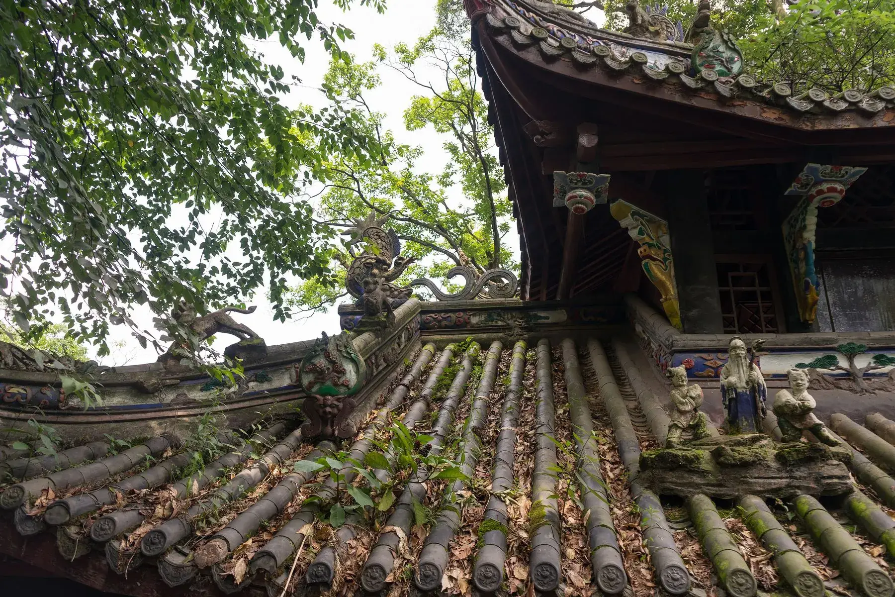 Moss growing over the tiled roof of a mountain hall