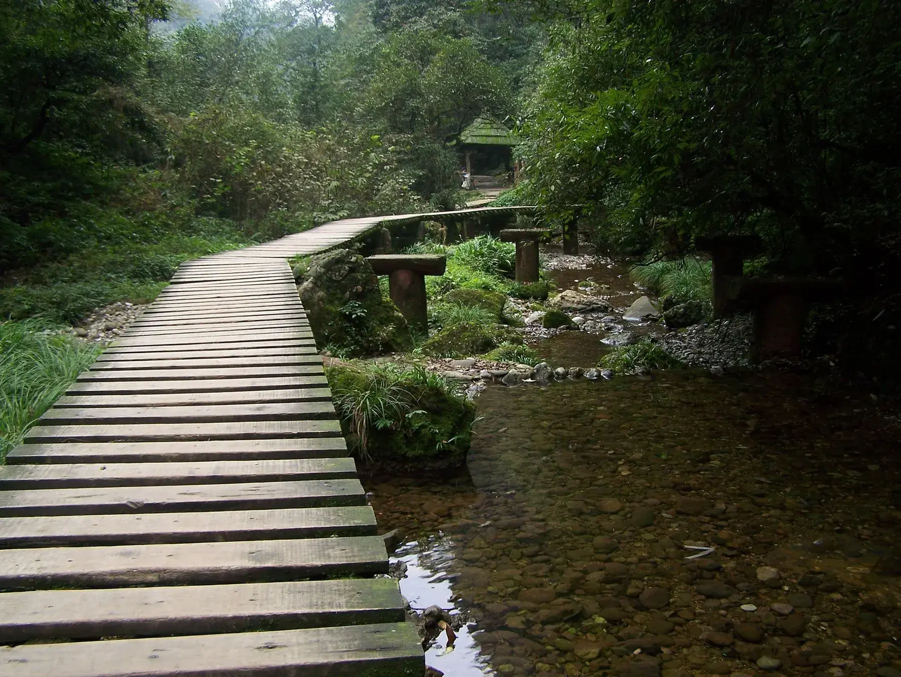 A plank walkway following a stream up Mount Qingcheng