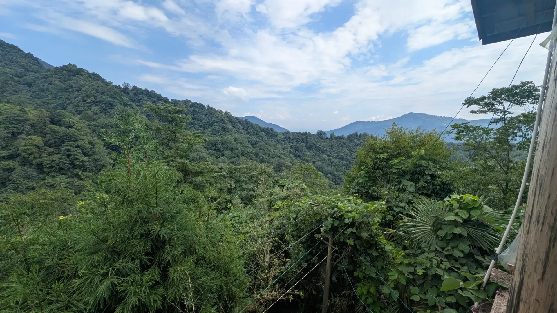 Layered forested ridges on Qingcheng's outer mountain