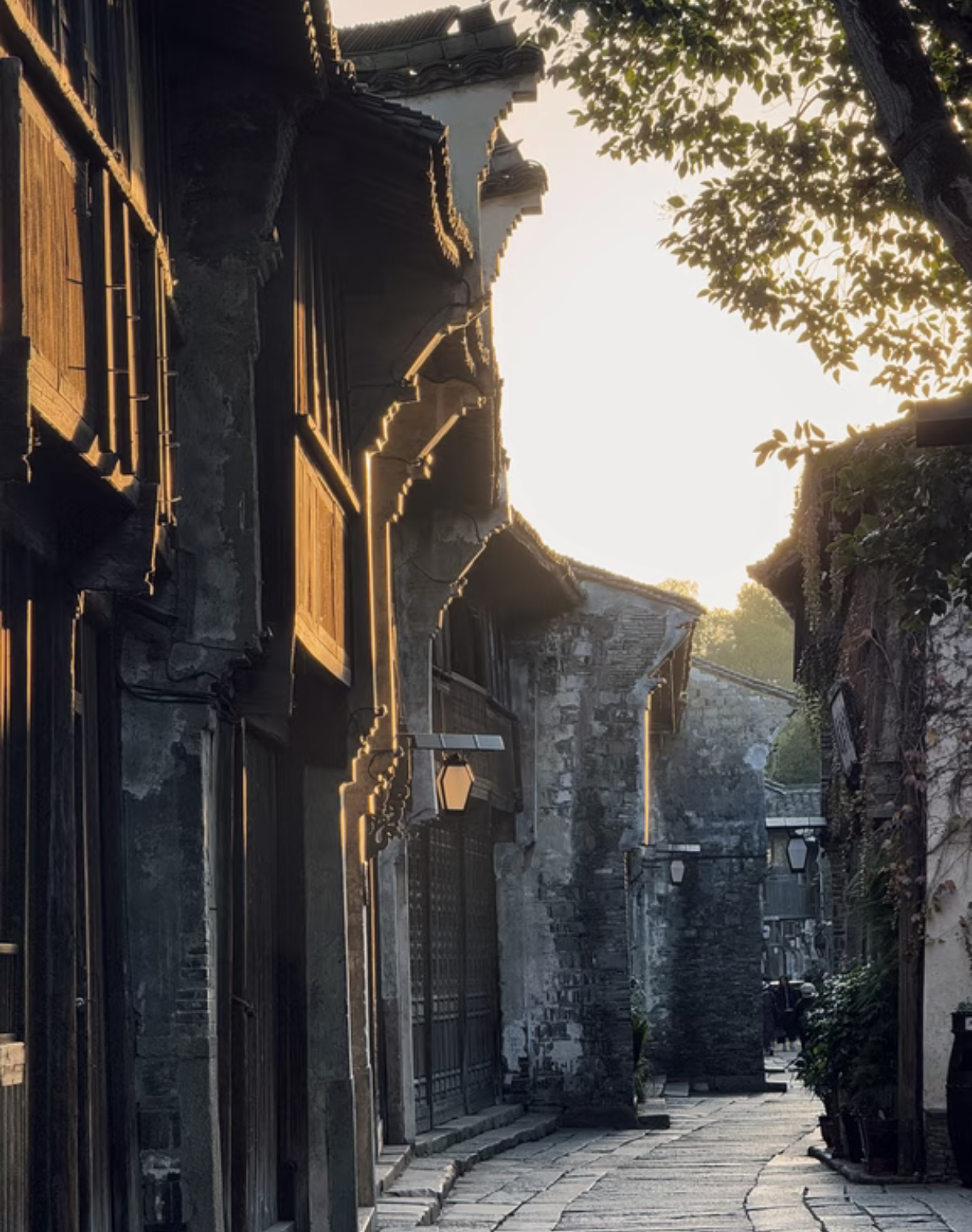 Early Morning in Xizha, Wuzhen, Wuzhen