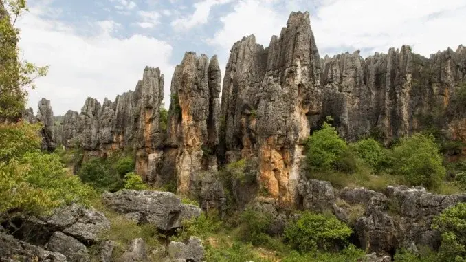Towering grey limestone pillars of the Stone Forest near Kunming