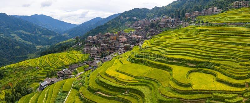 Terraced rice fields on the hillsides around Tang'an village near Zhaoxing