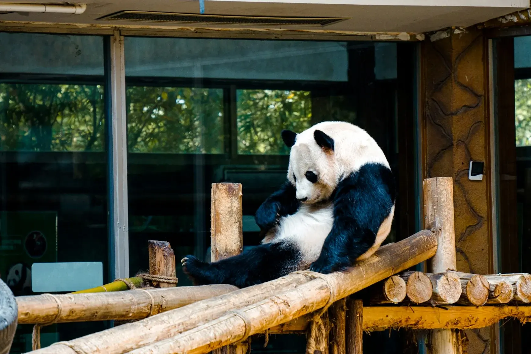 Chengdu — Chengdu