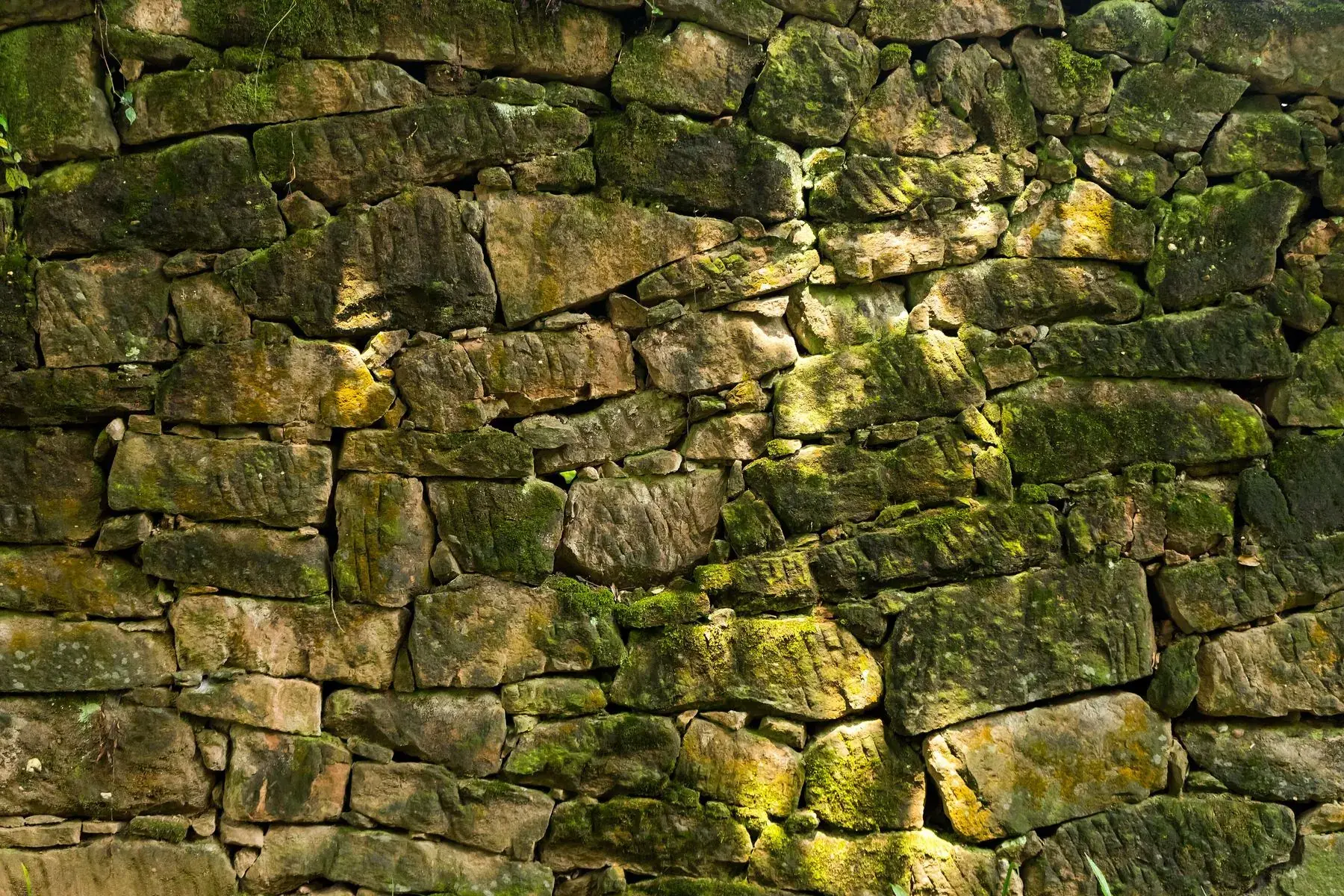 A moss-covered stone wall on the mountain