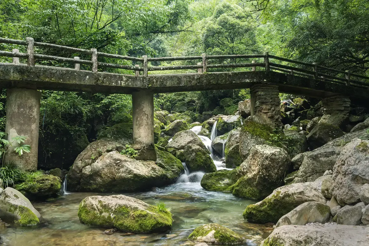 A mossy stone bridge over a clear mountain stream, forest on both banks