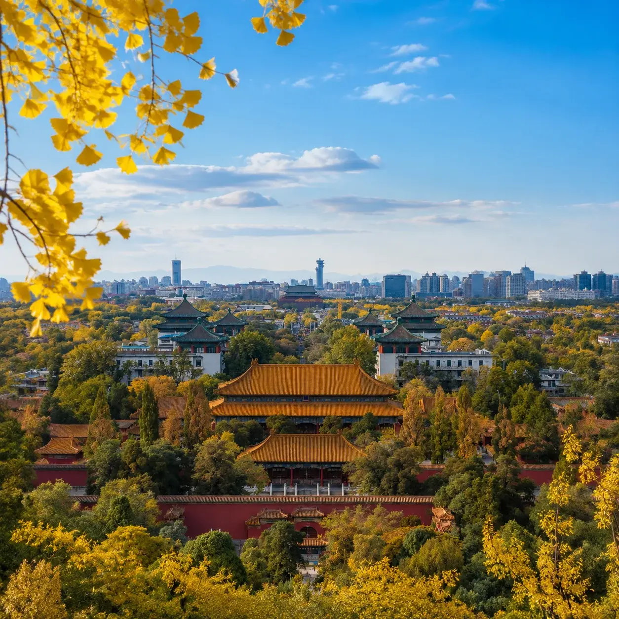 Autumn view over the palace rooftops from Jingshan Park, the classic elevated Beijing hanfu photo spot