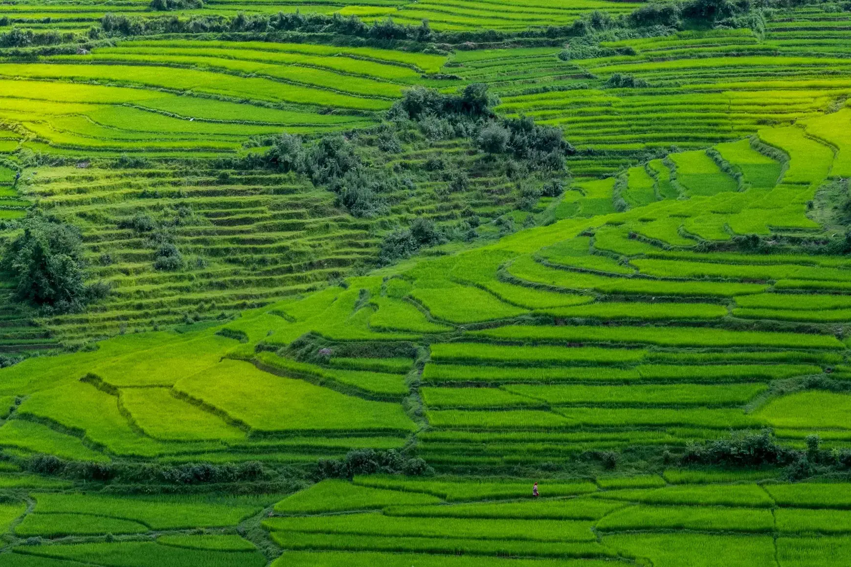Guilin