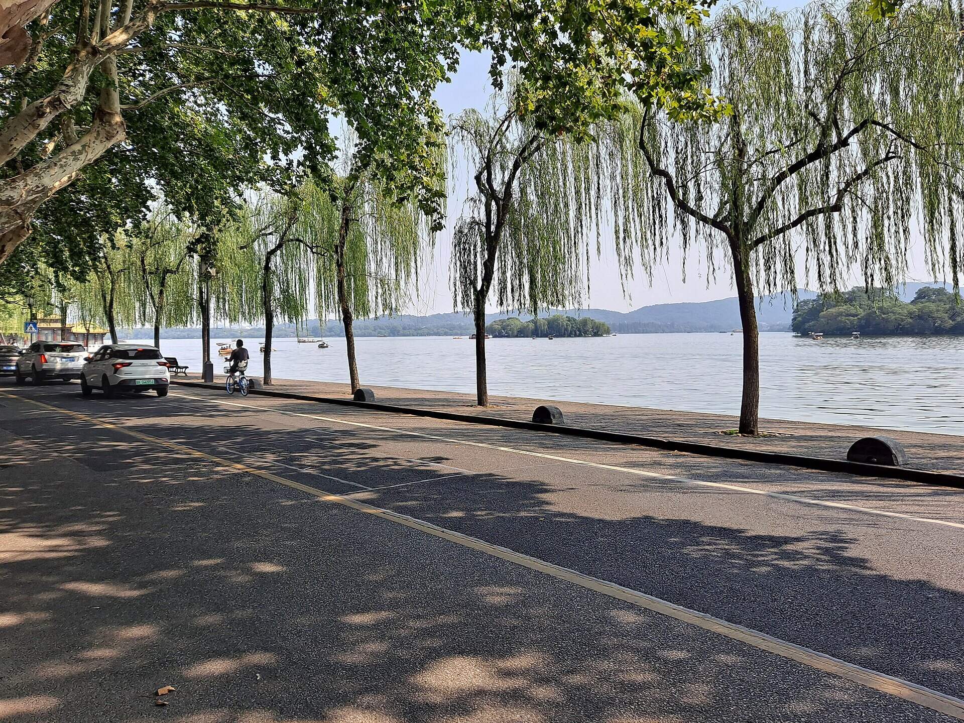 The lakeshore beneath the willows along West Lake's Bai Causeway