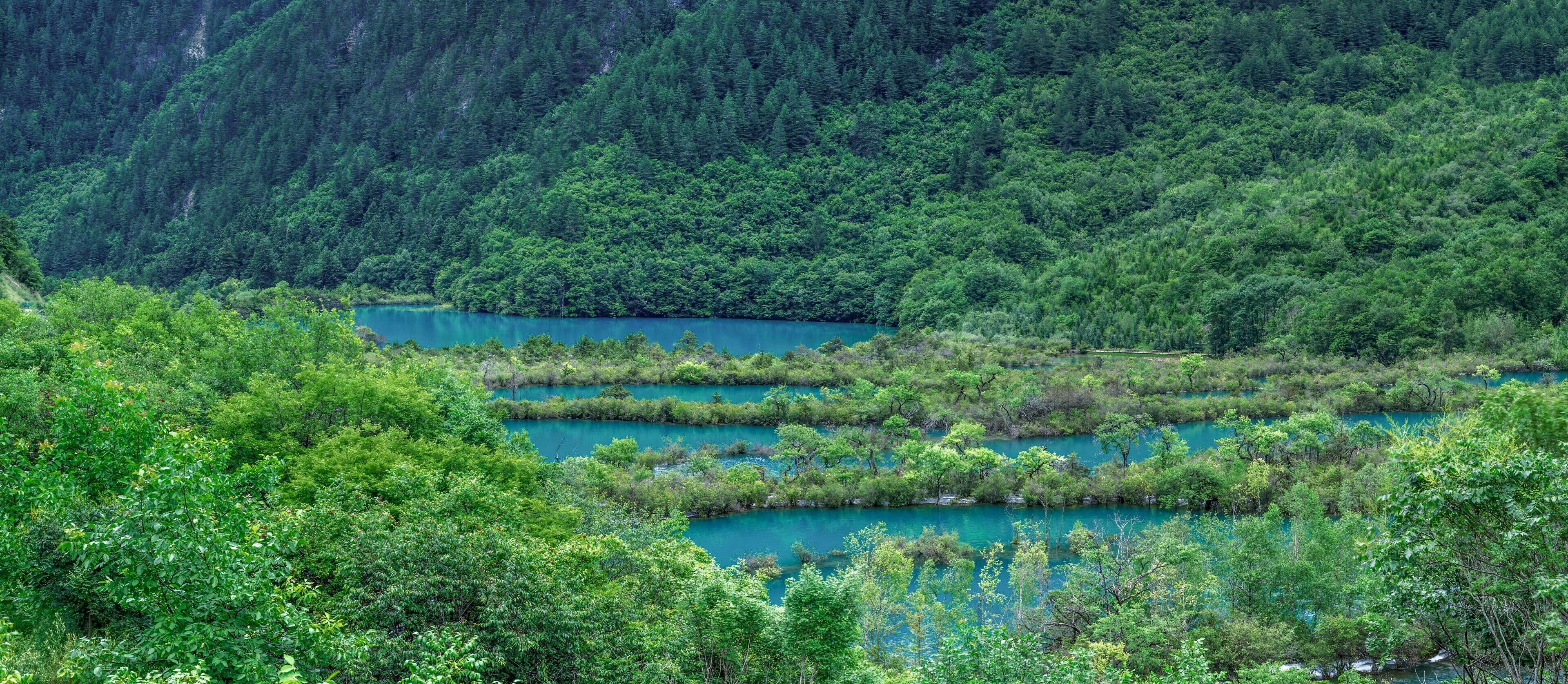 Guests on a wooden walkway beside the forest lake at Jiawuhai