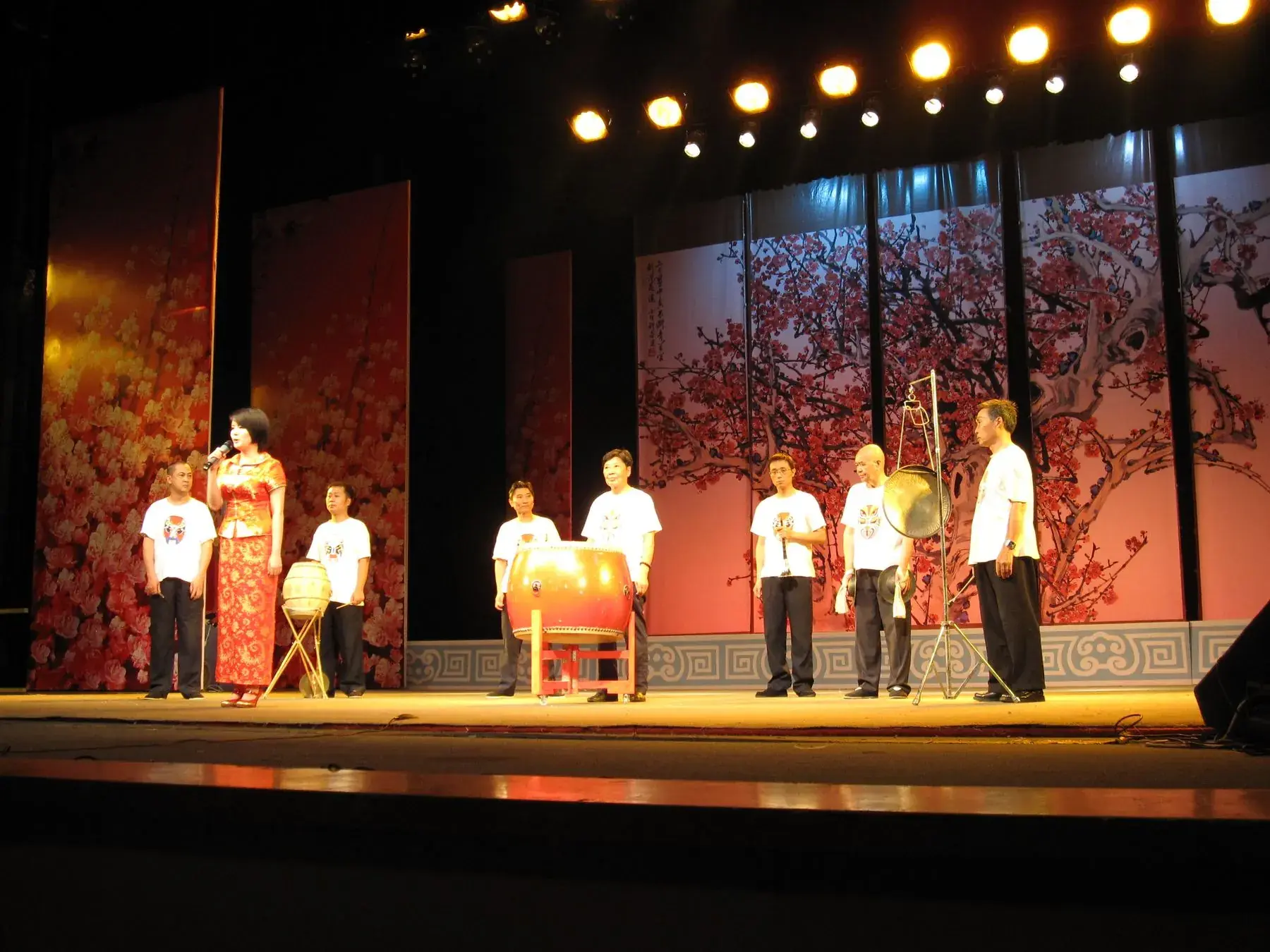 Performers on stage before a full house