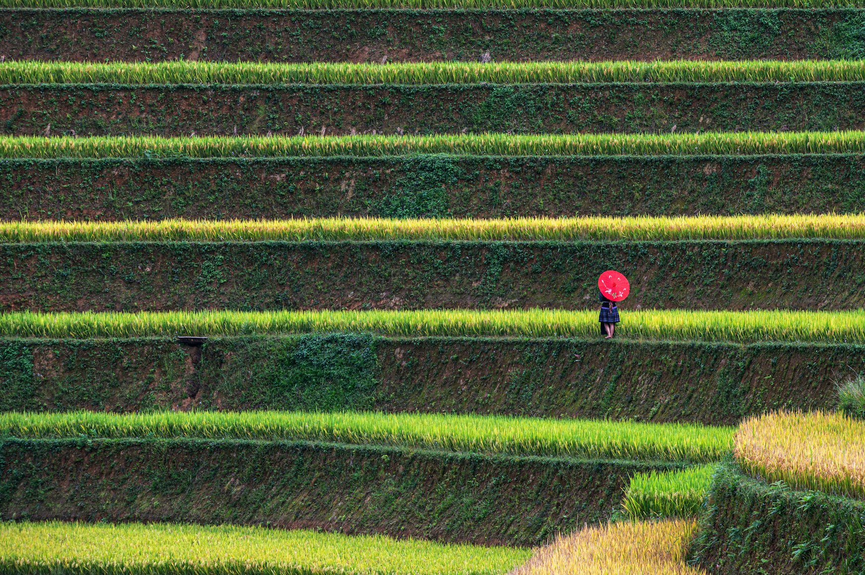 Guilin — 桂林