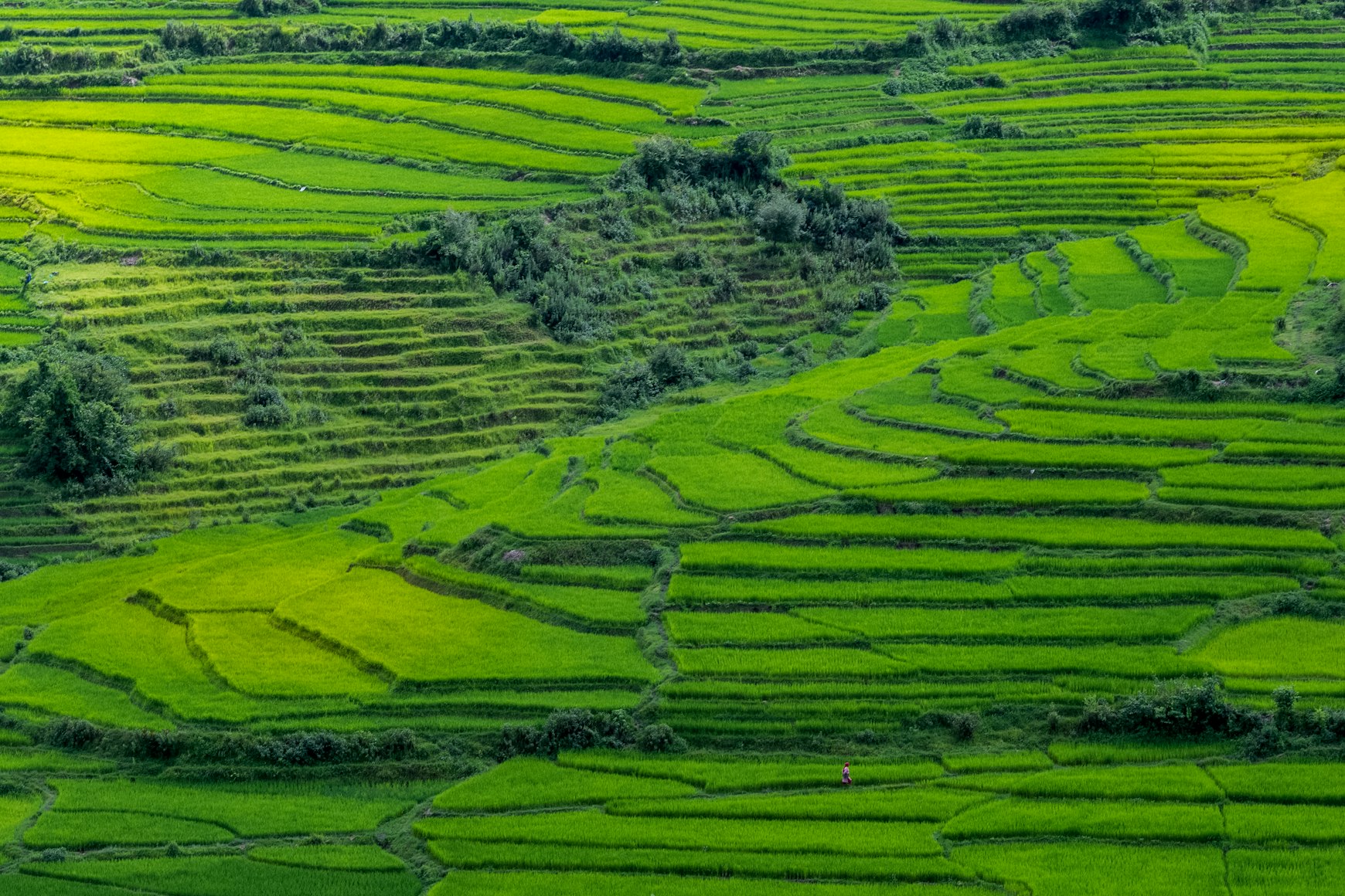 Guilin
