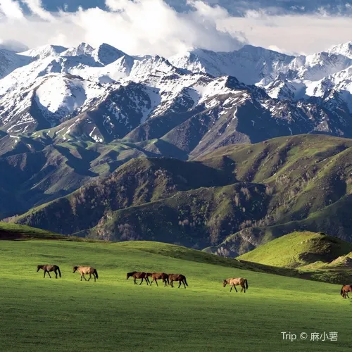 Tacheng Prefecture